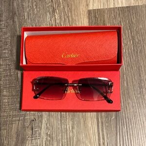 Cartier sunglasses black tint